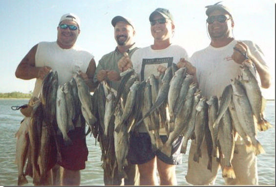 Captain Mike Powell's All Season Guide Service, Fishing Port O'Connor,Matagorda Palacios Bay Systems.