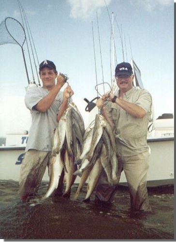 Captain Mike Powell's All Season Guide Service, Fishing Port O'Connor,Matagorda Palacios Bay Systems.