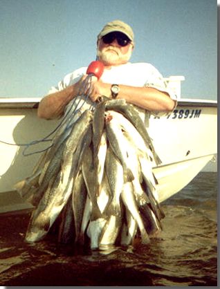 Captain Mike Powell's All Season Guide Service, Fishing Port O'Connor,Matagorda Palacios Bay Systems.