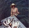 Click on Image for larger view.