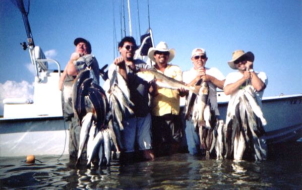 Captain Mike Powell's All Season Guide Service, Fishing Port O'Connor,Matagorda Palacios Bay Systems.