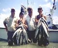 Click on Image for larger view.