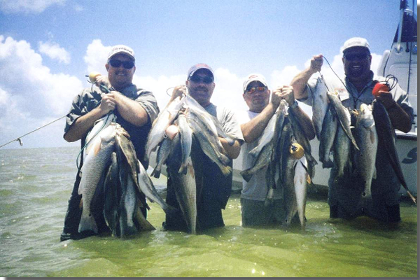 Captain Mike Powell's All Season Guide Service, Fishing Port O'Connor,Matagorda Palacios Bay Systems.
