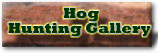 Click here To Go To The Hog Hunting Gallery.