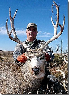 New Mexico Mule Deer Hunting At It's Best .