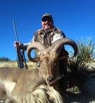 Free Range Aoudad Sheep Hunting. Guided Hunts Texas Bighorn Sheep Hunting.