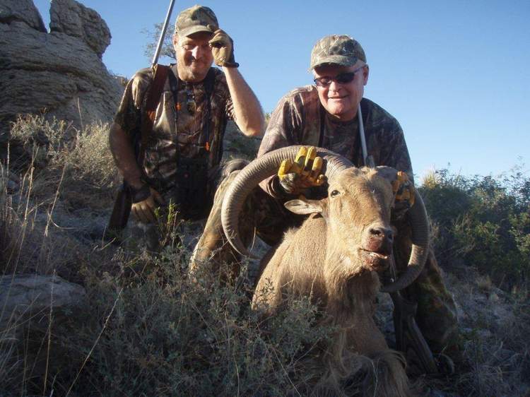 Texas Exotic Hunting Safaris With All Seasons Guide Service.