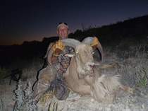 Free Range Aoudad Sheep Hunting. Guided Hunts Texas Bighorn Sheep Hunting.
