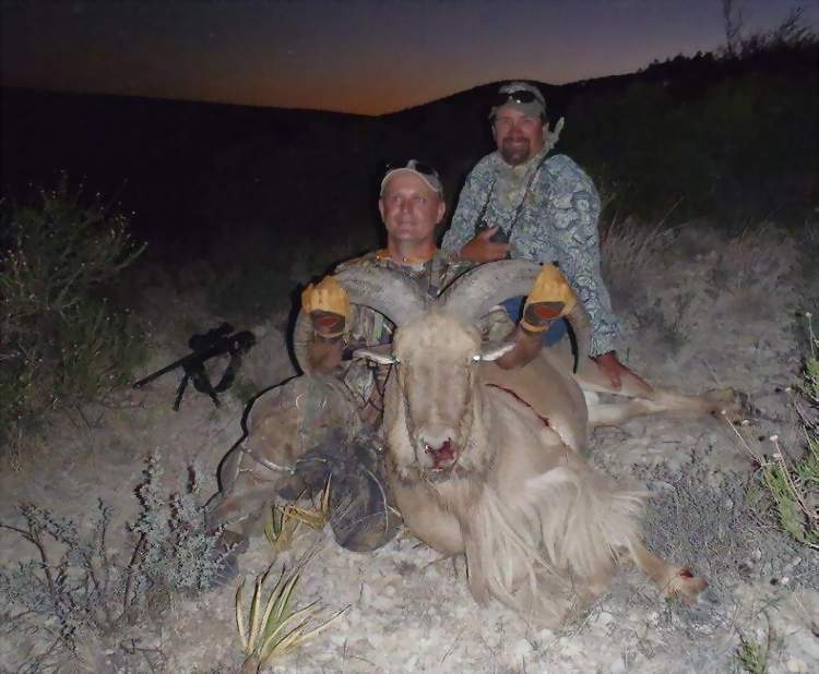 Texas Exotic Hunting Safaris With All Seasons Guide Service.
