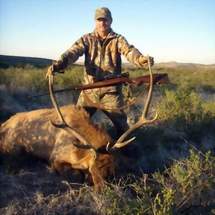 Free Range Bull Elk Hunting. Guided Hunts Texas Bighorn Sheep Hunting.