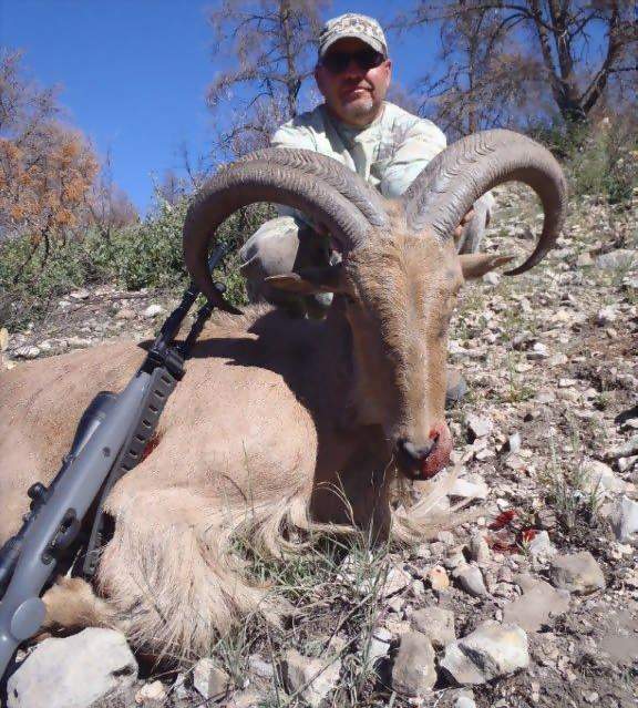 Texas Exotic Hunting Safaris With All Seasons Guide Service.
