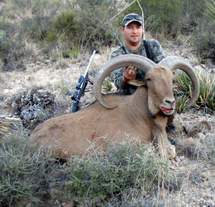 Free Range Aoudad Sheep Hunting. Guided Hunts Texas Bighorn Sheep Hunting.