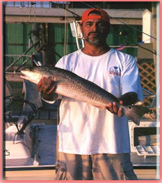 Captain Ron Thomas ,Texas Lower Coast Fishing Guide, Captain Ron Thomas specializing in wade and drift fishing for Speckled Trout, & Red Fish. Charters are out of Arroyo City, Port Mansfield & South Padre Island.