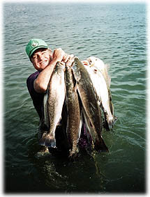 Speckled trout, redfish, and flounder are all plentiful in the Texas Mid Coast area, near Port O'Connor.